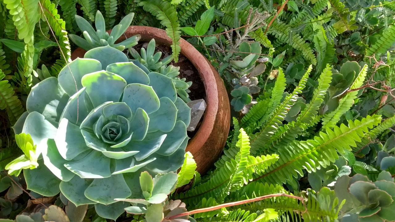 Pousada Refazenda - Milho Verde Kültér fotó